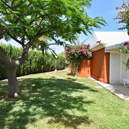 Melocotones 50 By Villagrancanaria San Bartolomé
